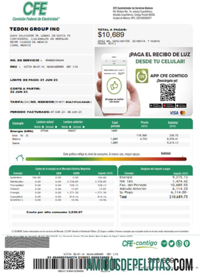 SCR da conta de serviços públicos da Comissão Federal de Eletricidade (CFE) Página 1 modelo